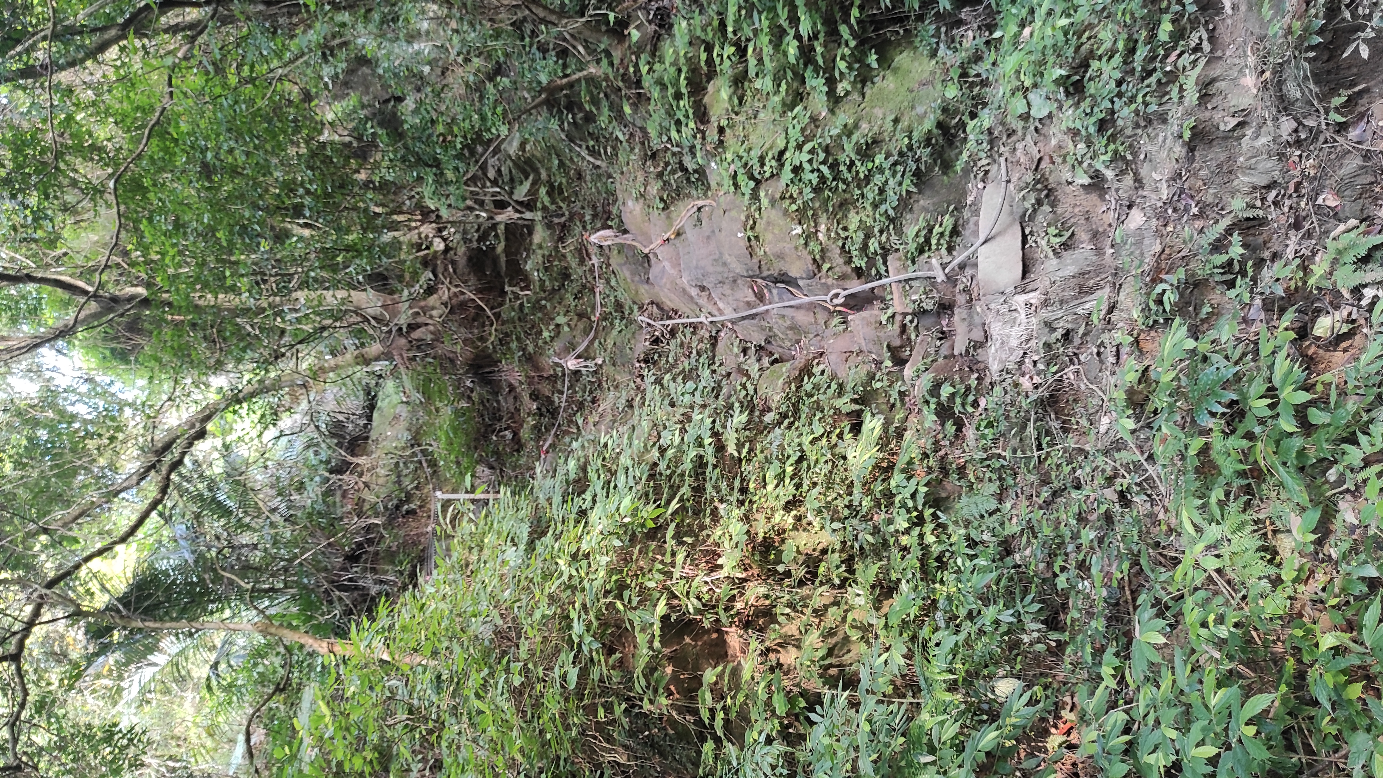 Click to enlarge thumb1